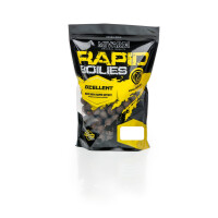 Rapid Boilies Excellent ProActive - King Plum 20mm